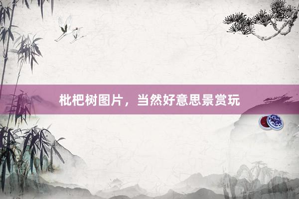 枇杷树图片，当然好意思景赏玩