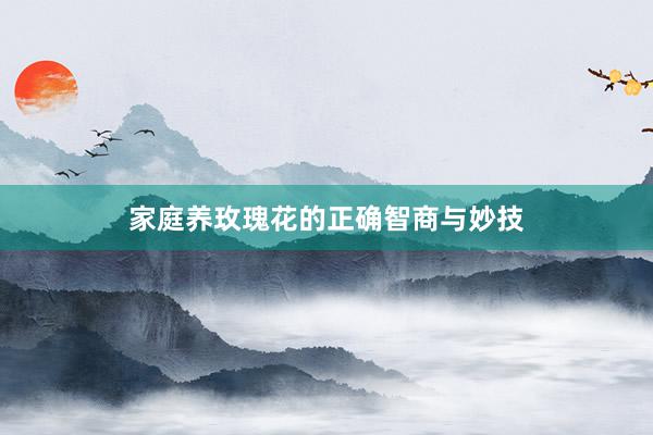 家庭养玫瑰花的正确智商与妙技