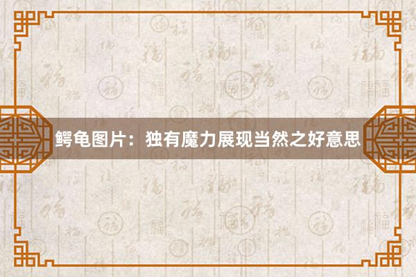 鳄龟图片：独有魔力展现当然之好意思